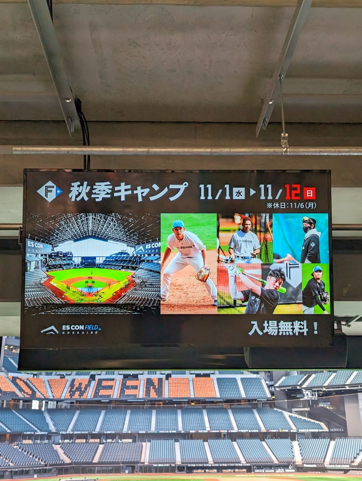 秋季キャンプ