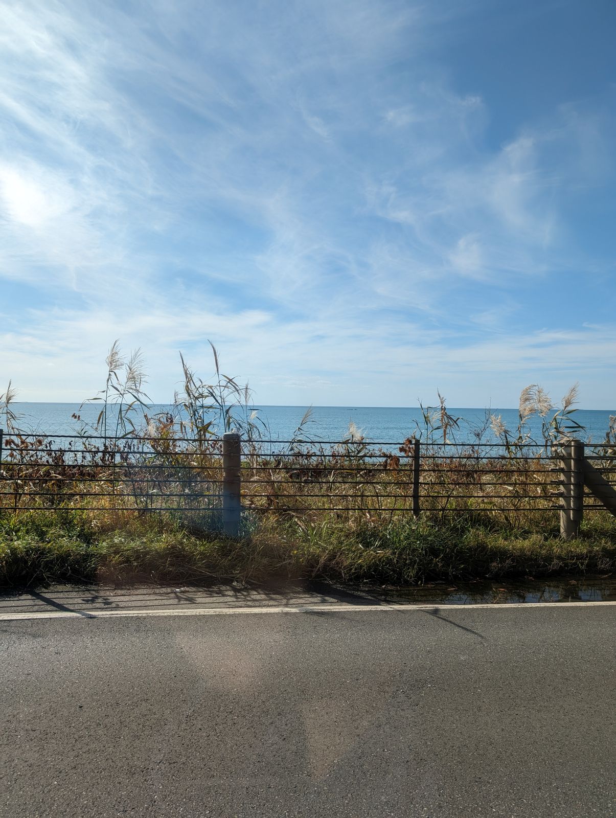 海辺沿いの道路