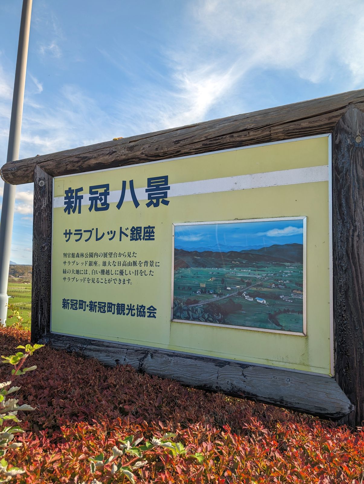 新冠八景