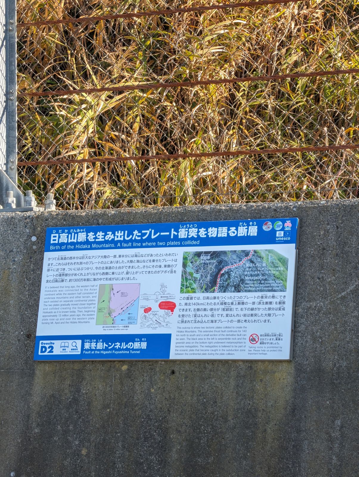 日高山脈を生み出したプレート衝突を物語る断層