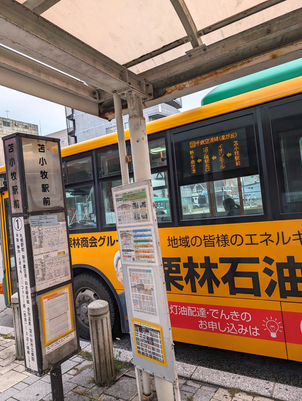 これからの予定