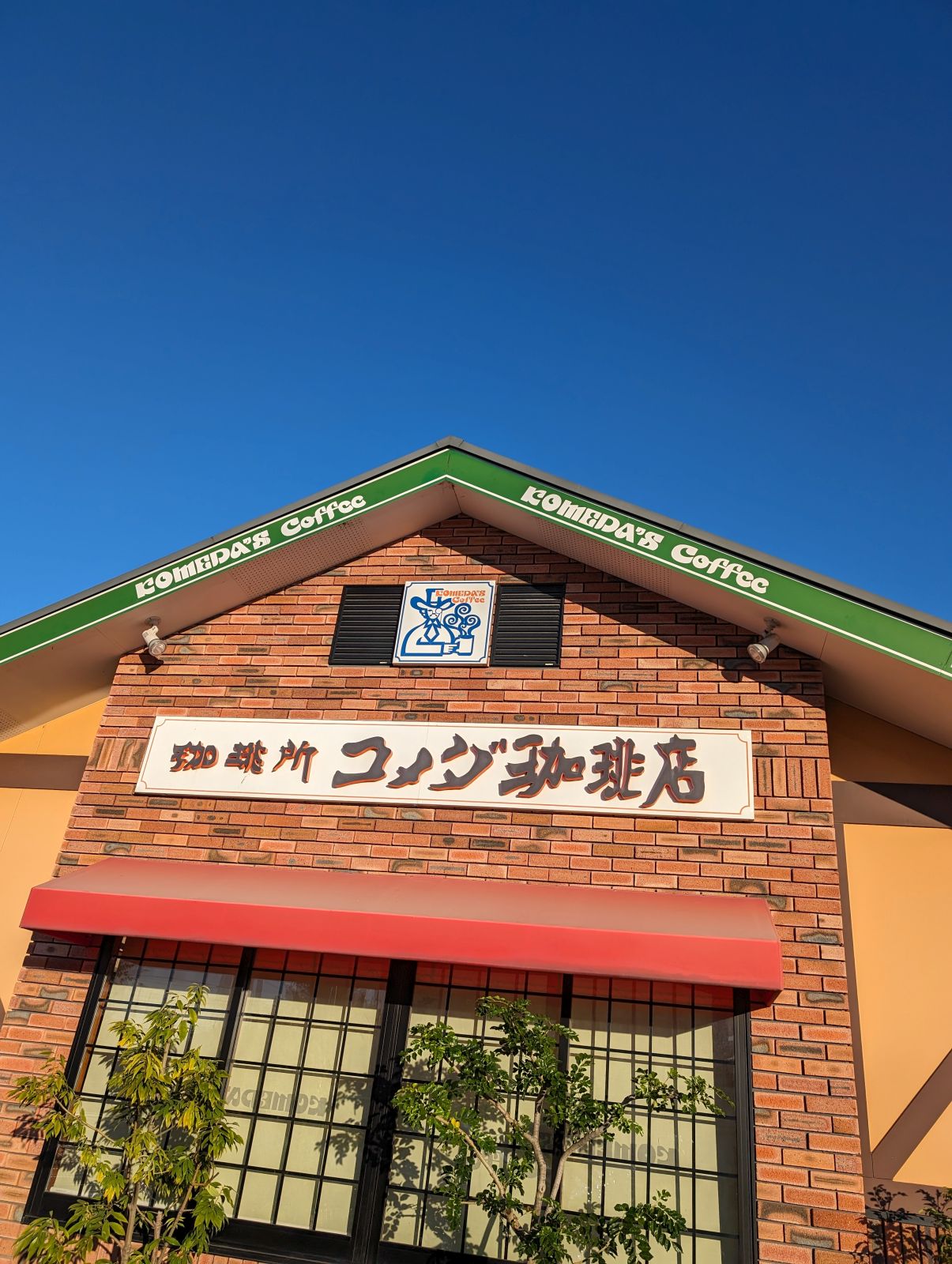 コメダ来店