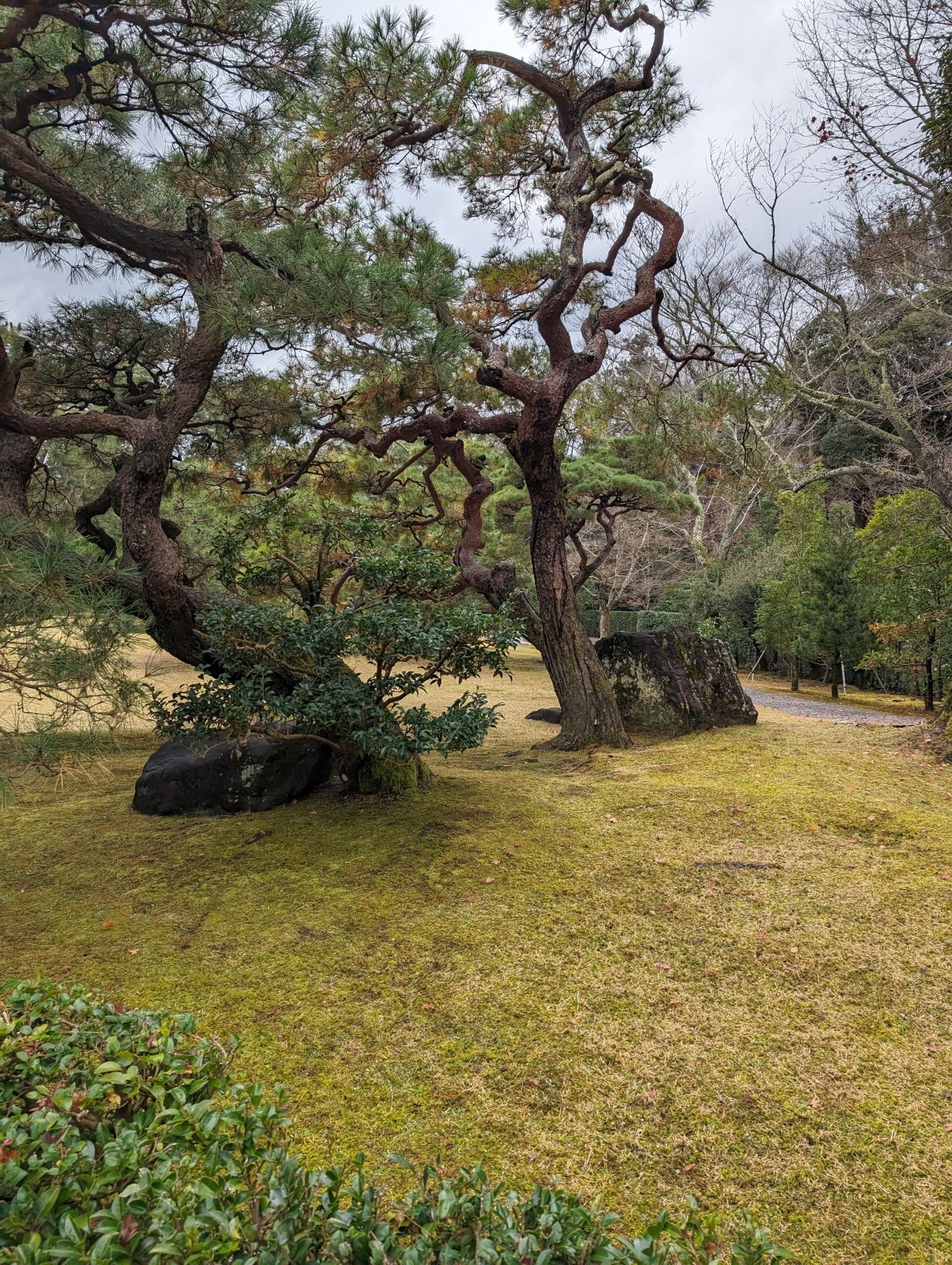 さざれ石