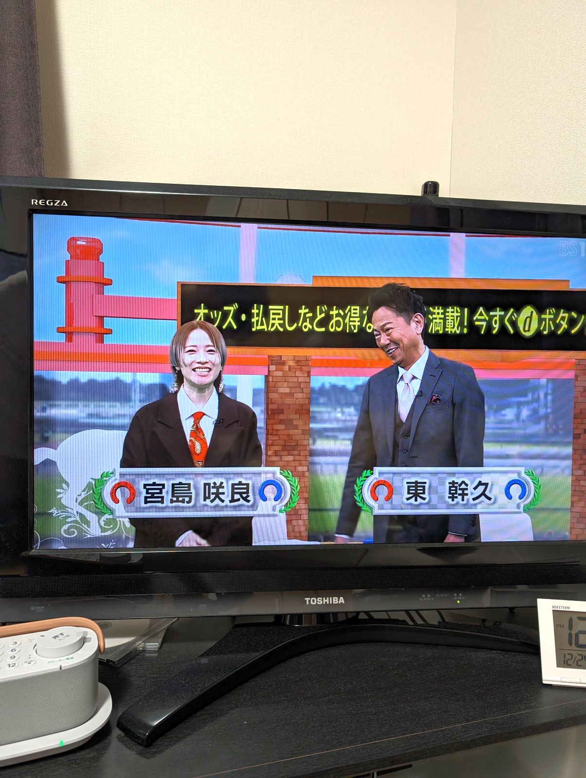 イレブン競馬