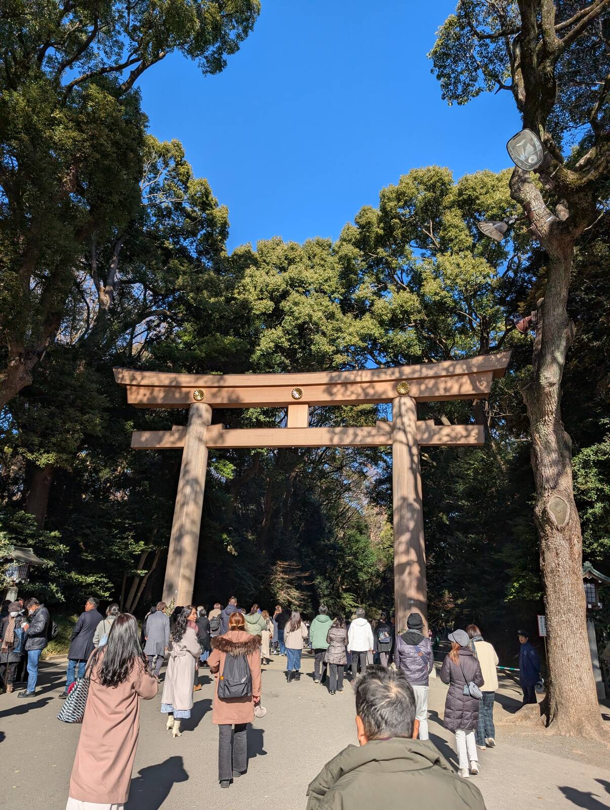 明治神宮 一の鳥居