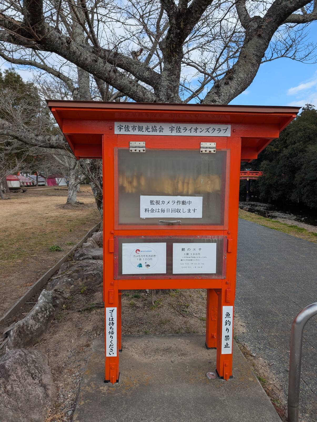 鯉のエサ
