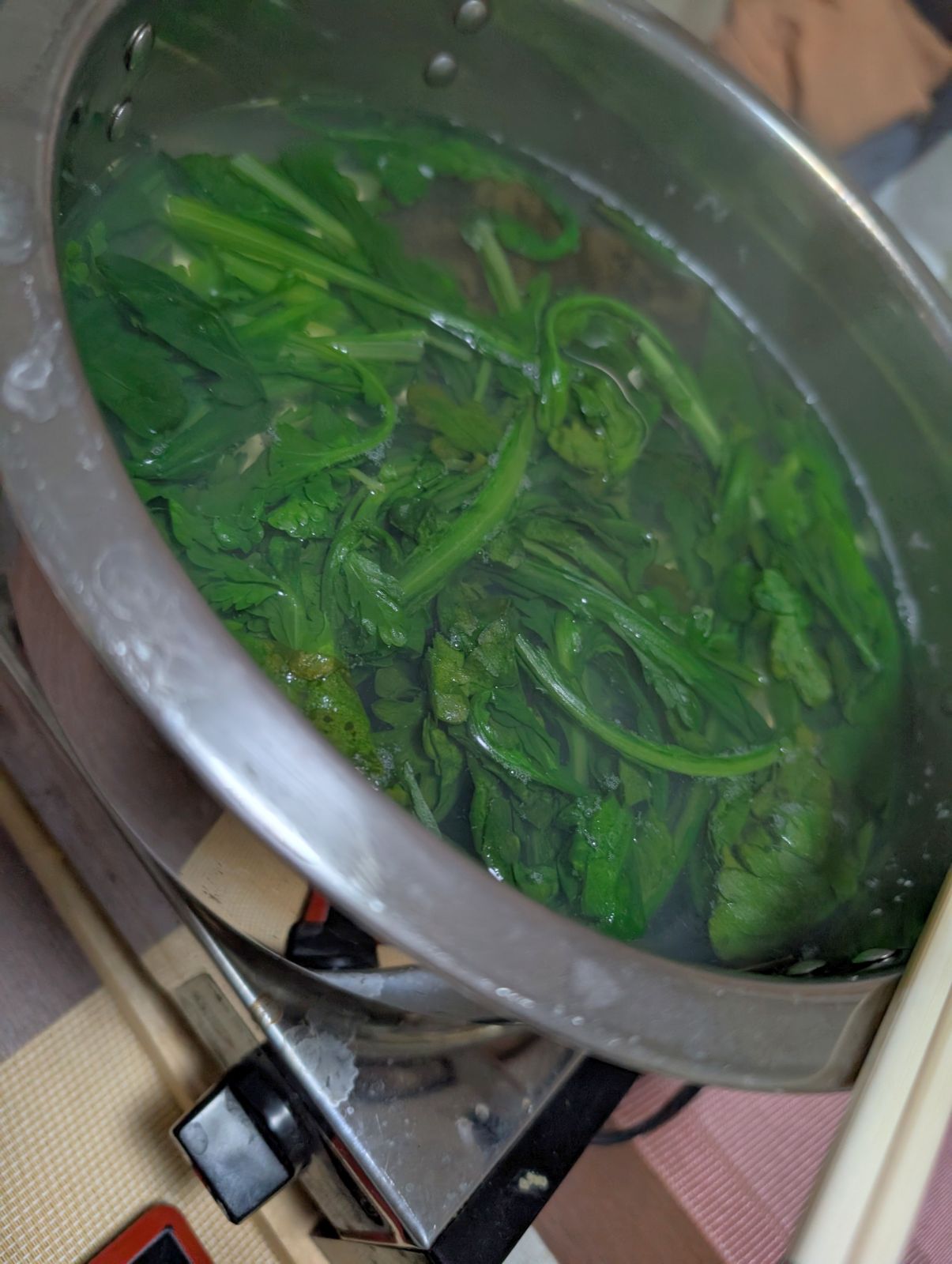 本日の夕食