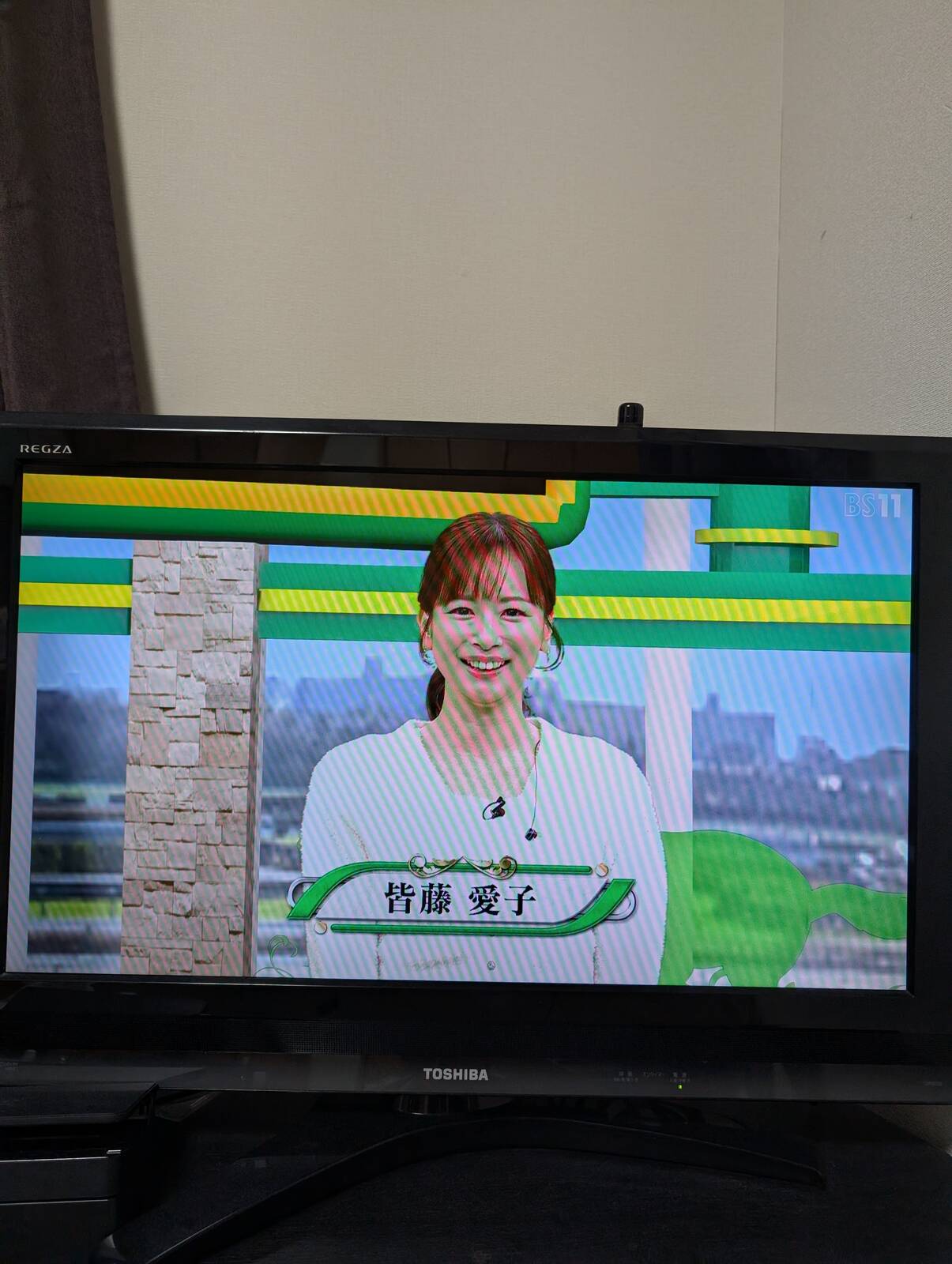 皆藤愛子