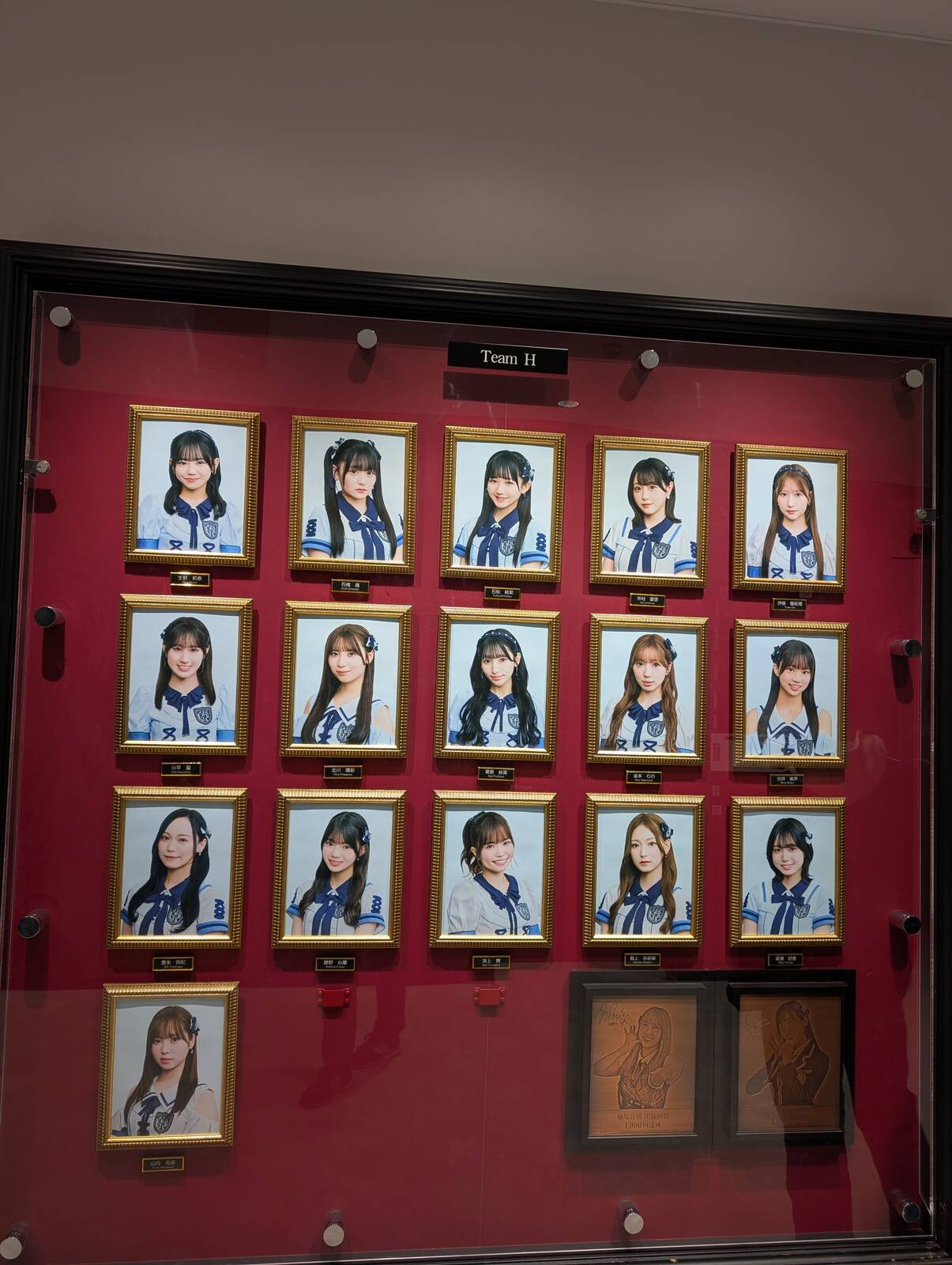 TeamHメンバー