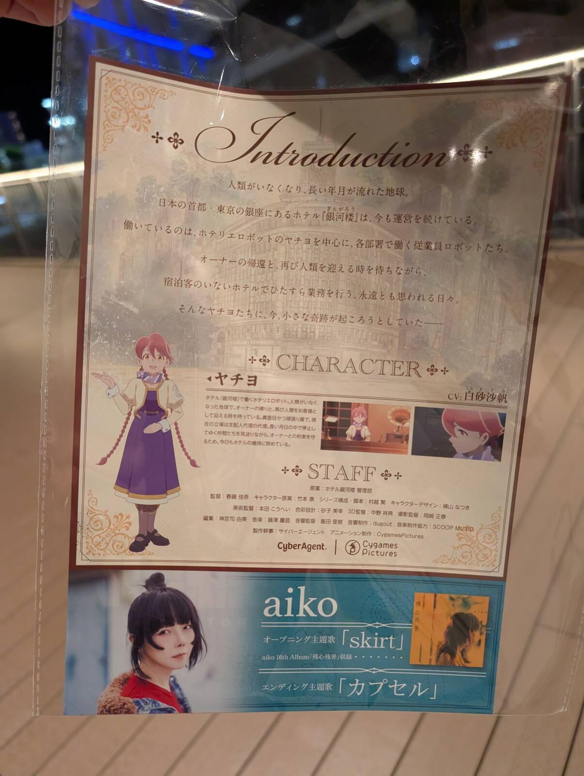 配布フライヤー