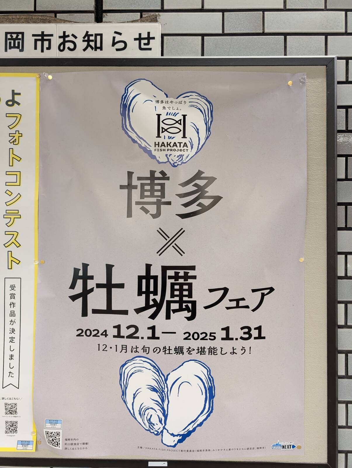 博多x牡蠣フェア
