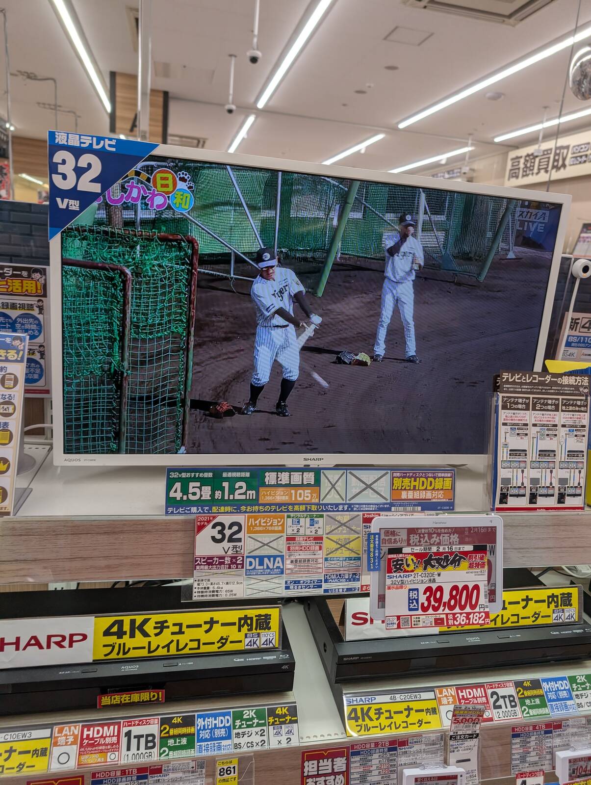キャンプ中継
