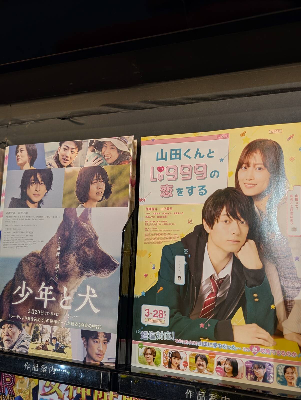 映画のチラシ