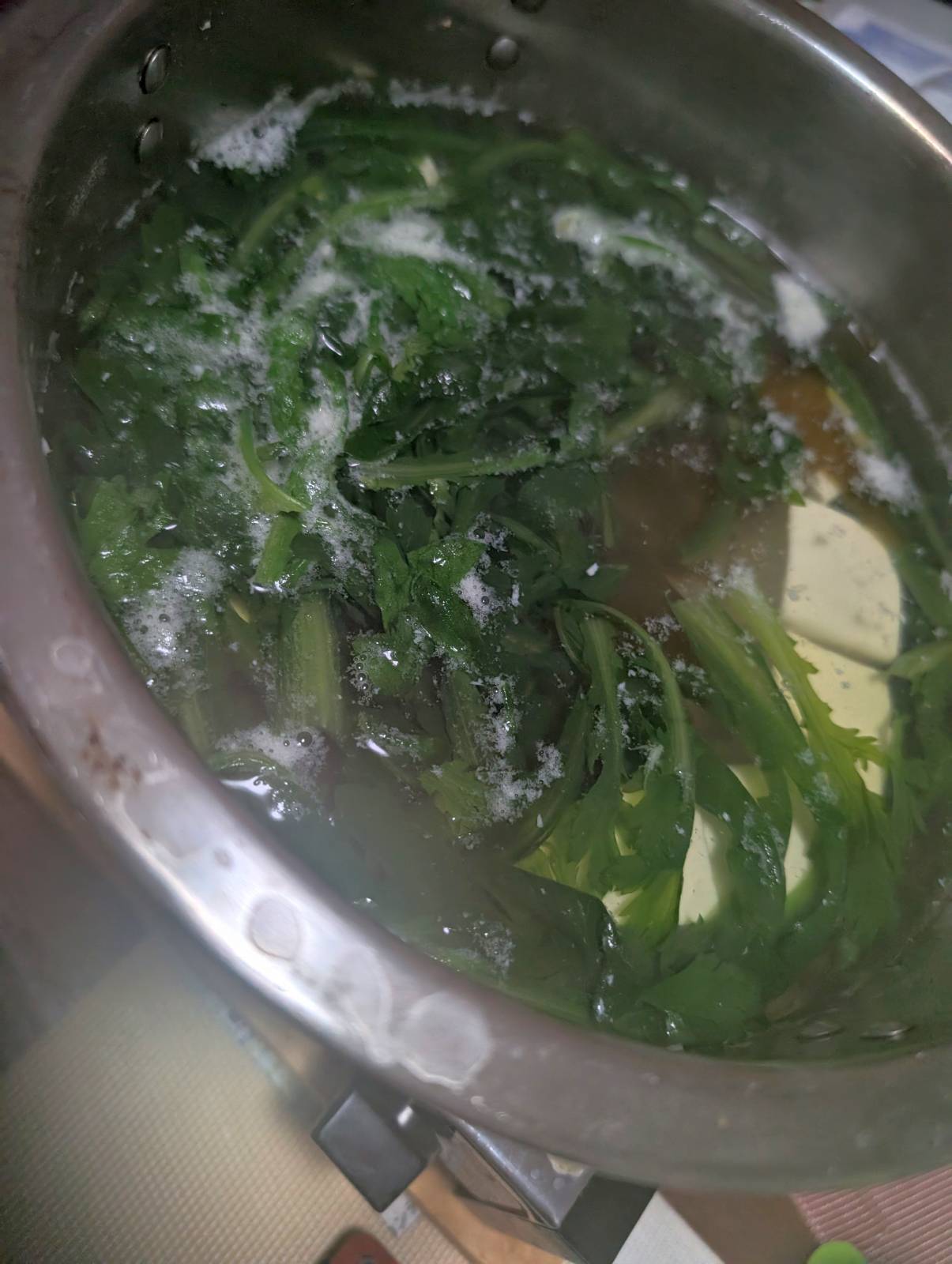 本日の夕食