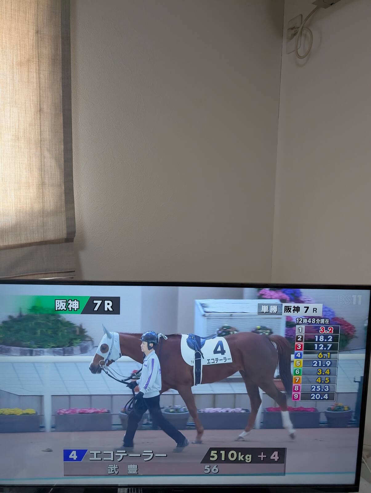 本日の阪神競馬場