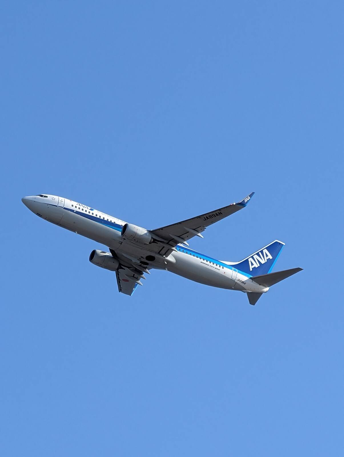 飛行機撮影