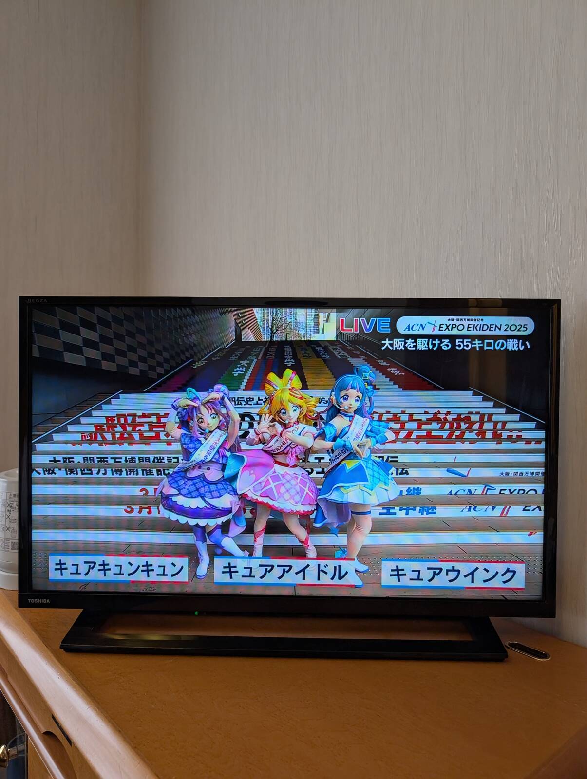 アニメ枠休止のため