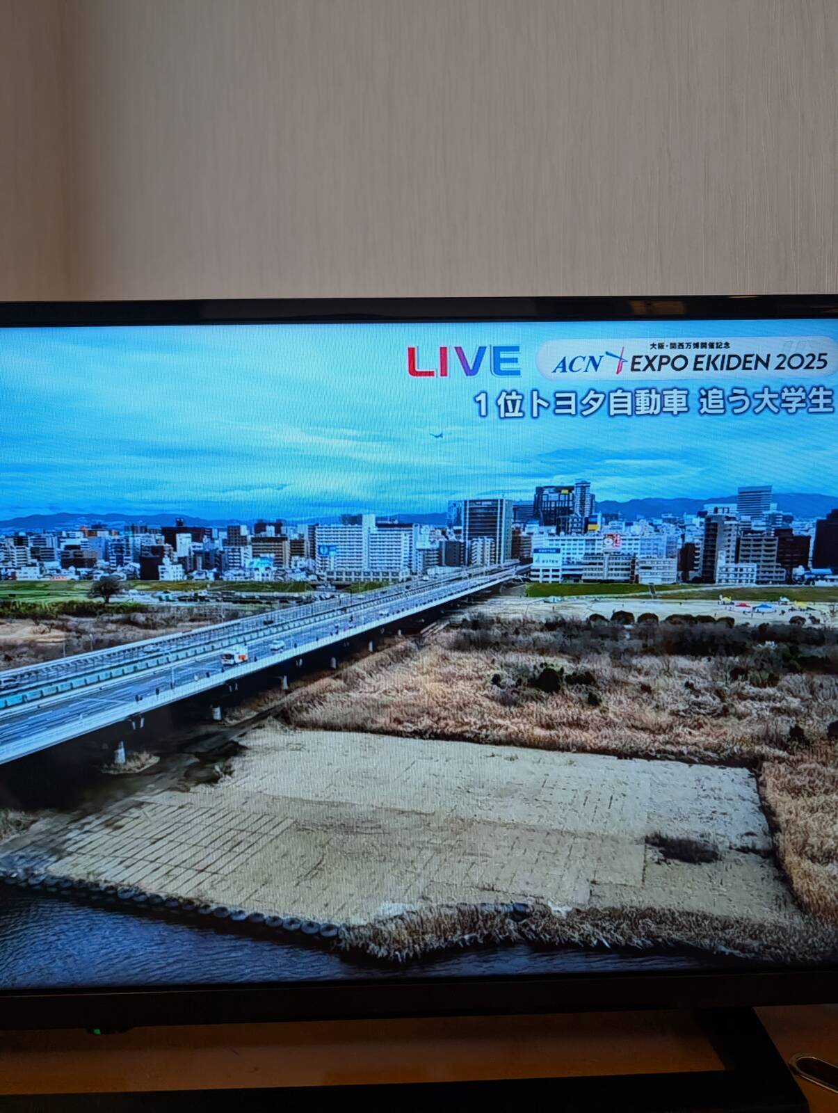 空から観覧