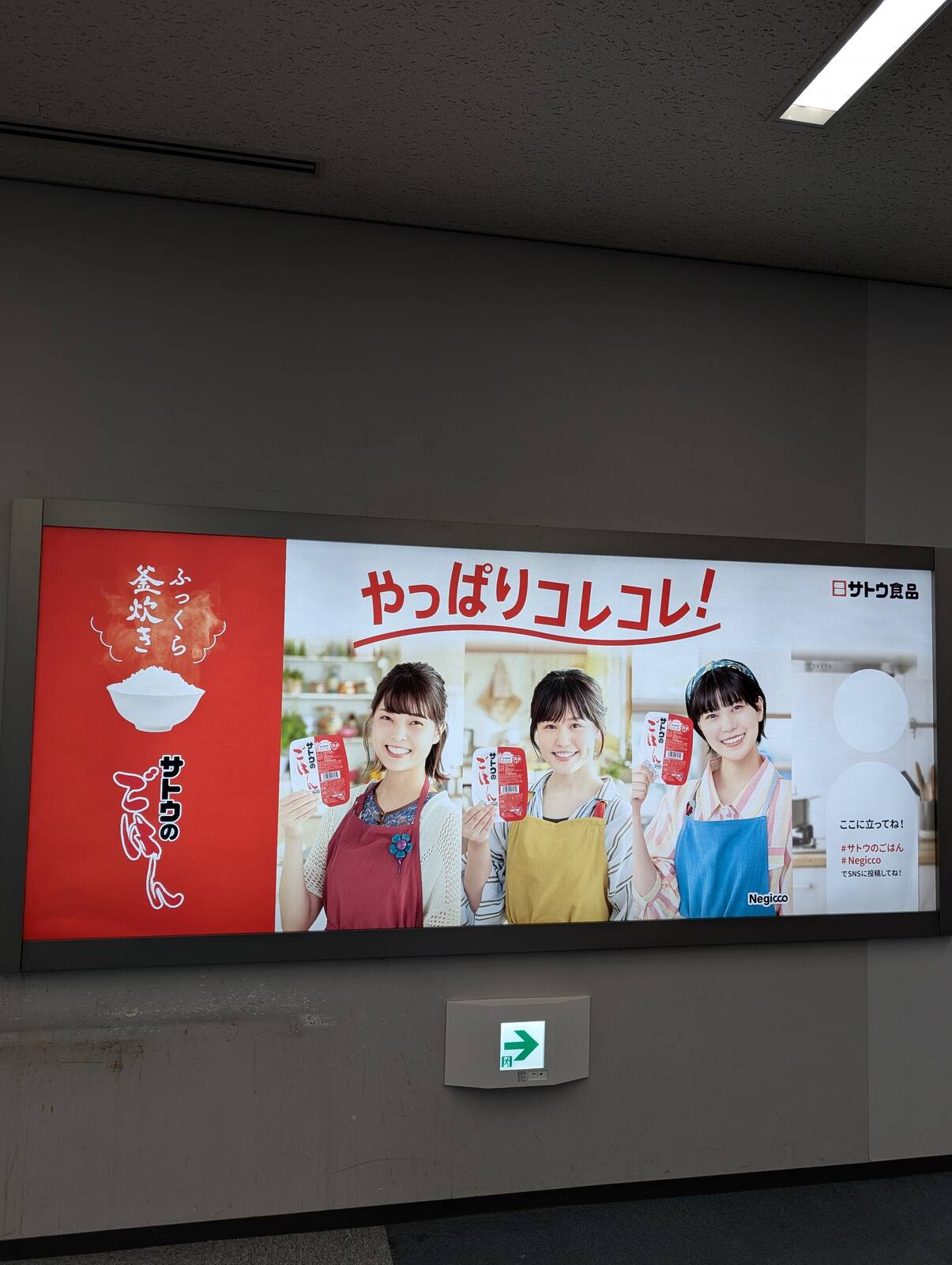 サトウのごはん