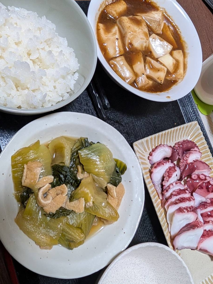 本日の夕食