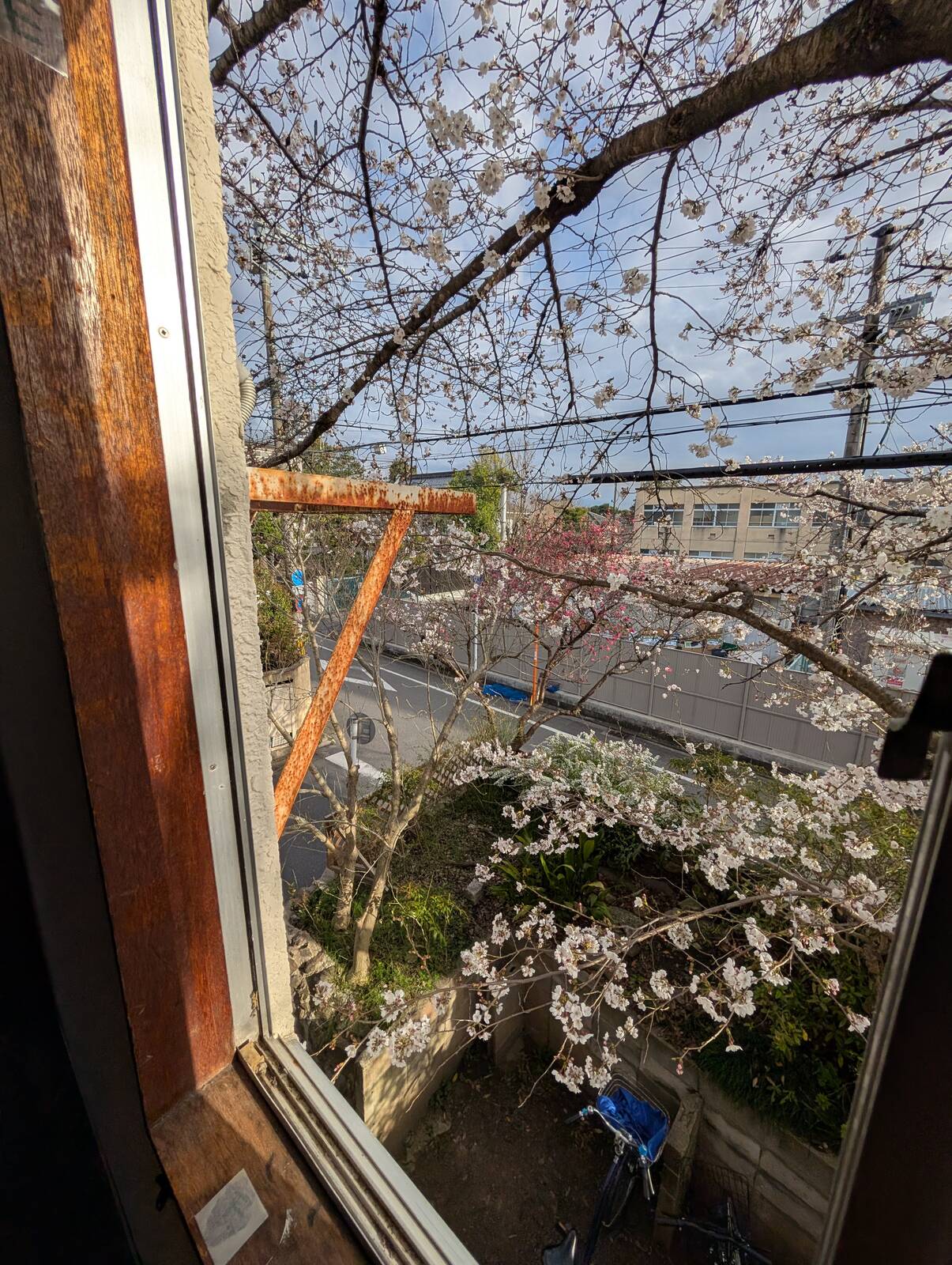 外の景色