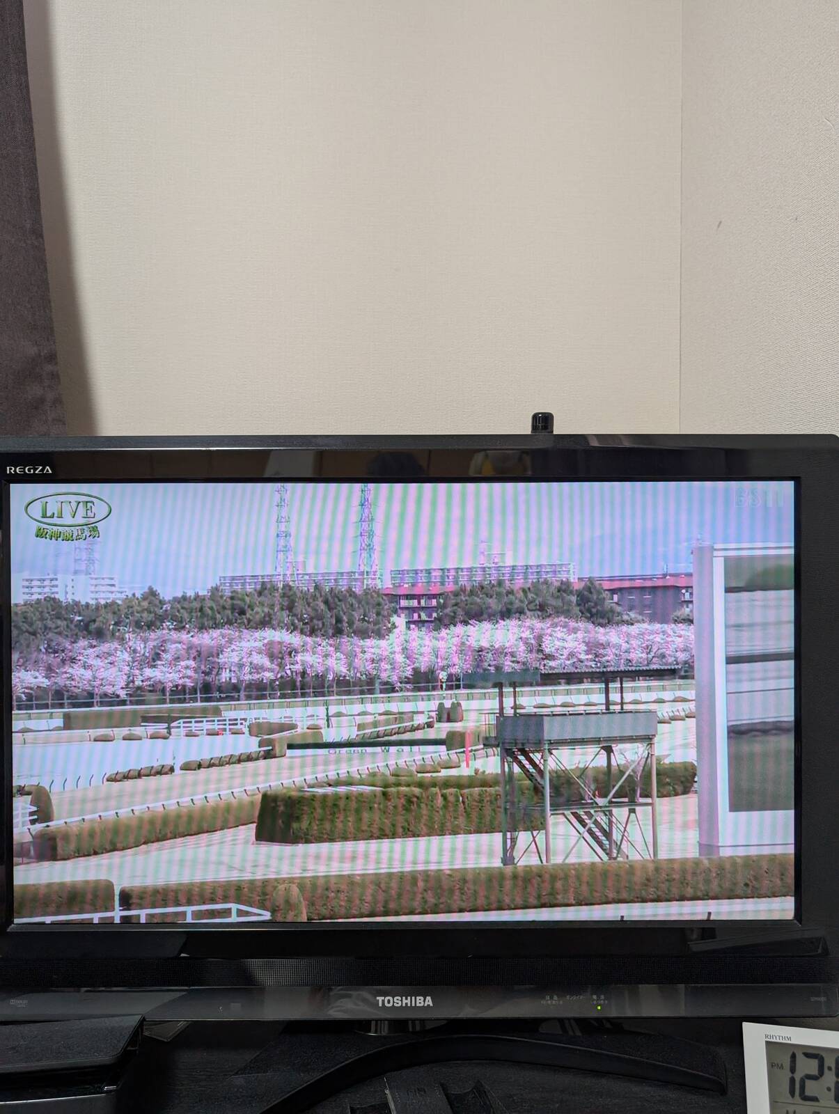 阪神競馬場