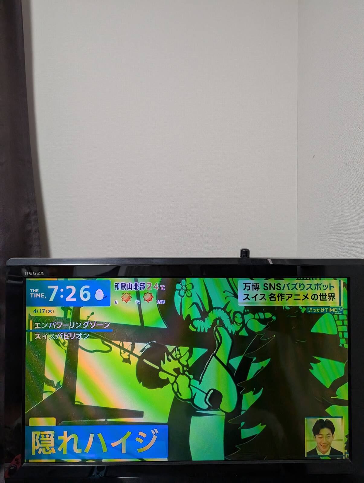 隠れハイジ