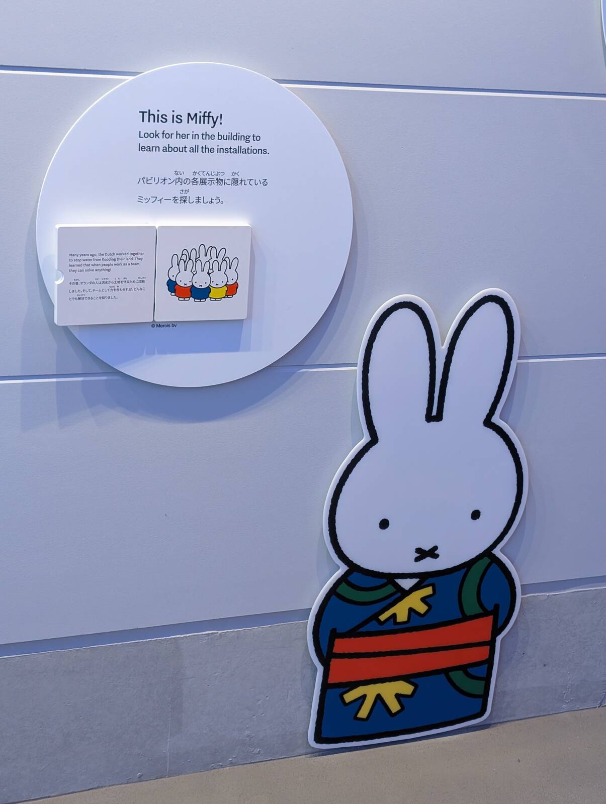 This is Miffy!