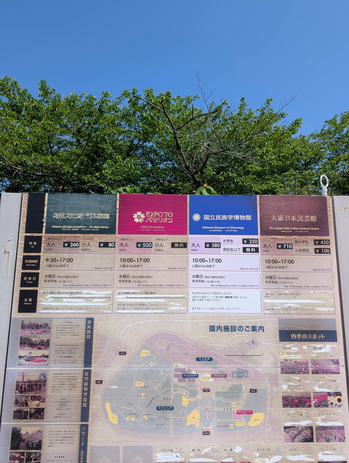 入場料