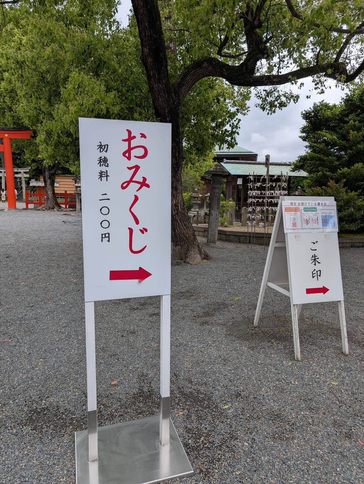 おみくじタイム