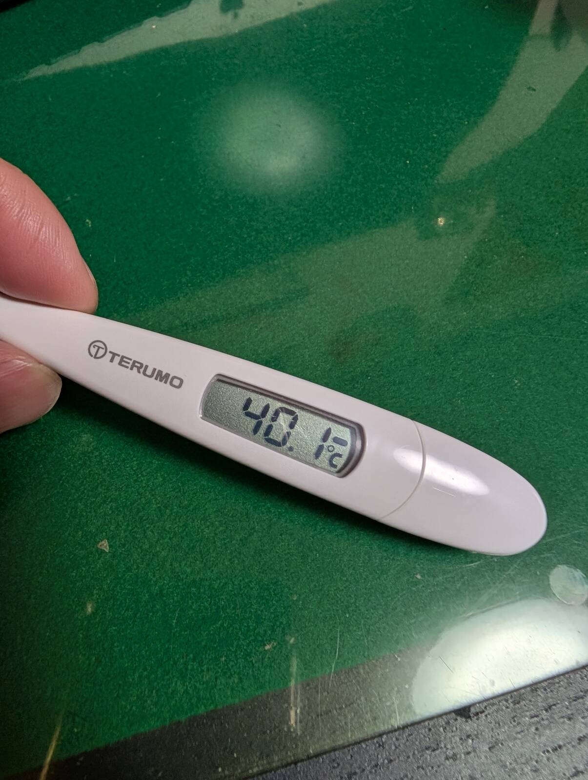 本日の検温