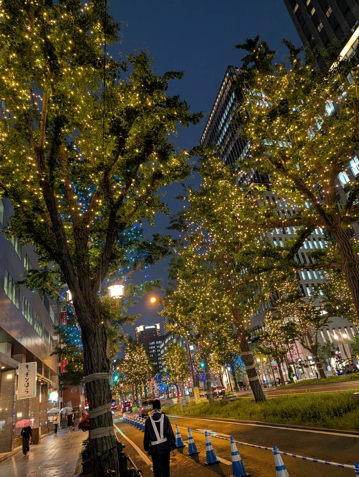 夜の御堂筋