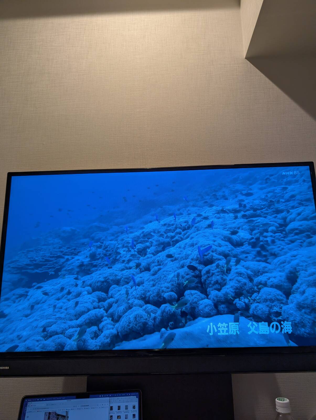 父島の海