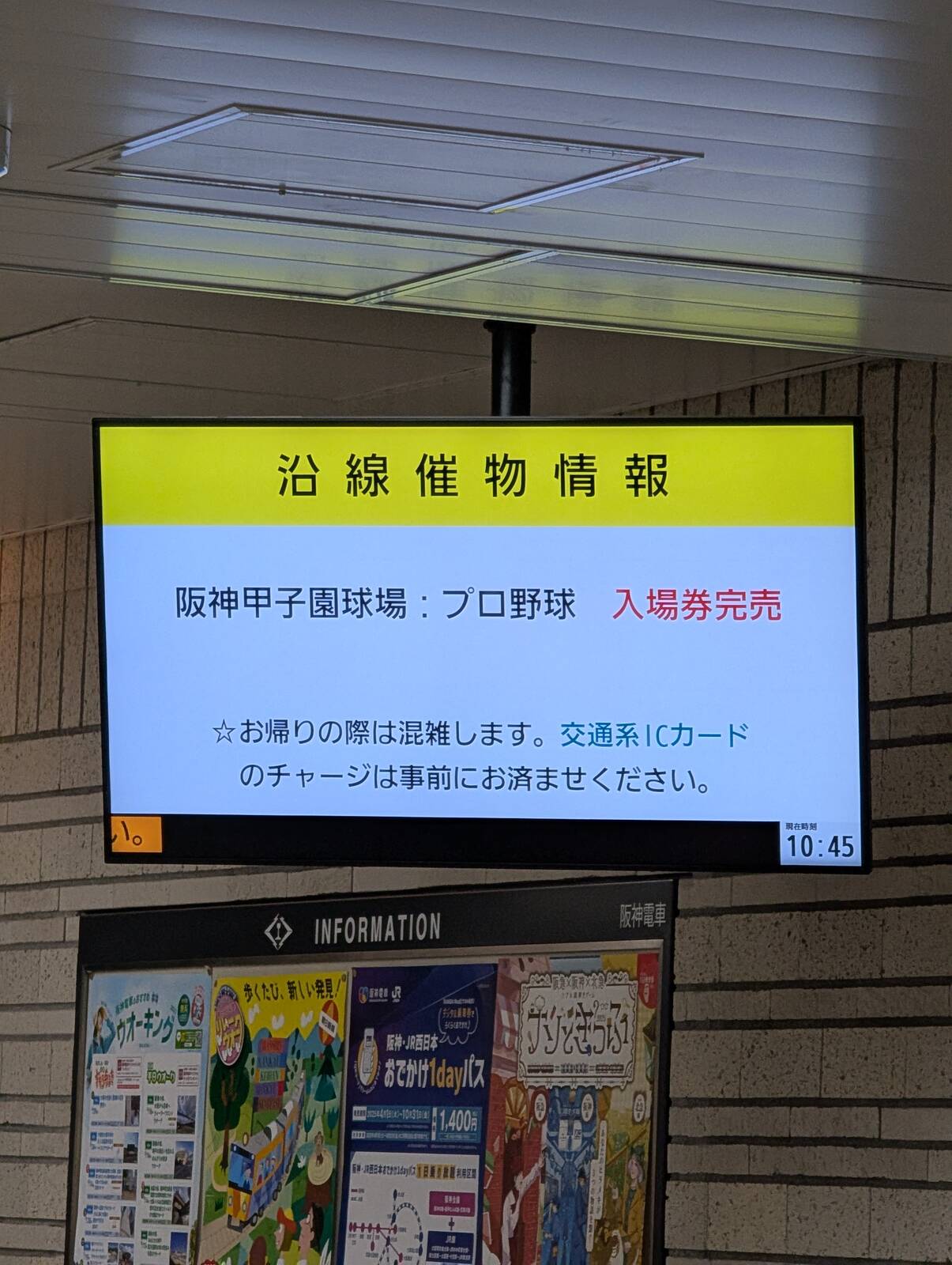 沿線催物情報