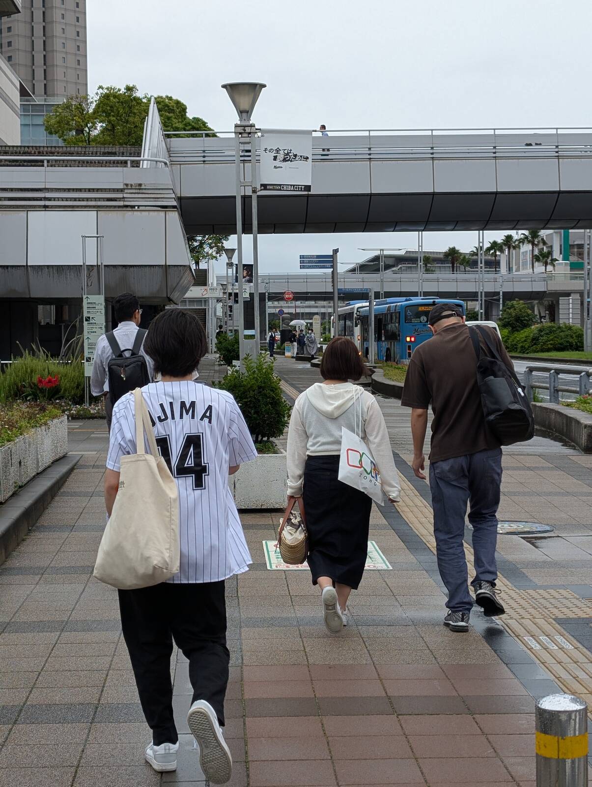本日の野球