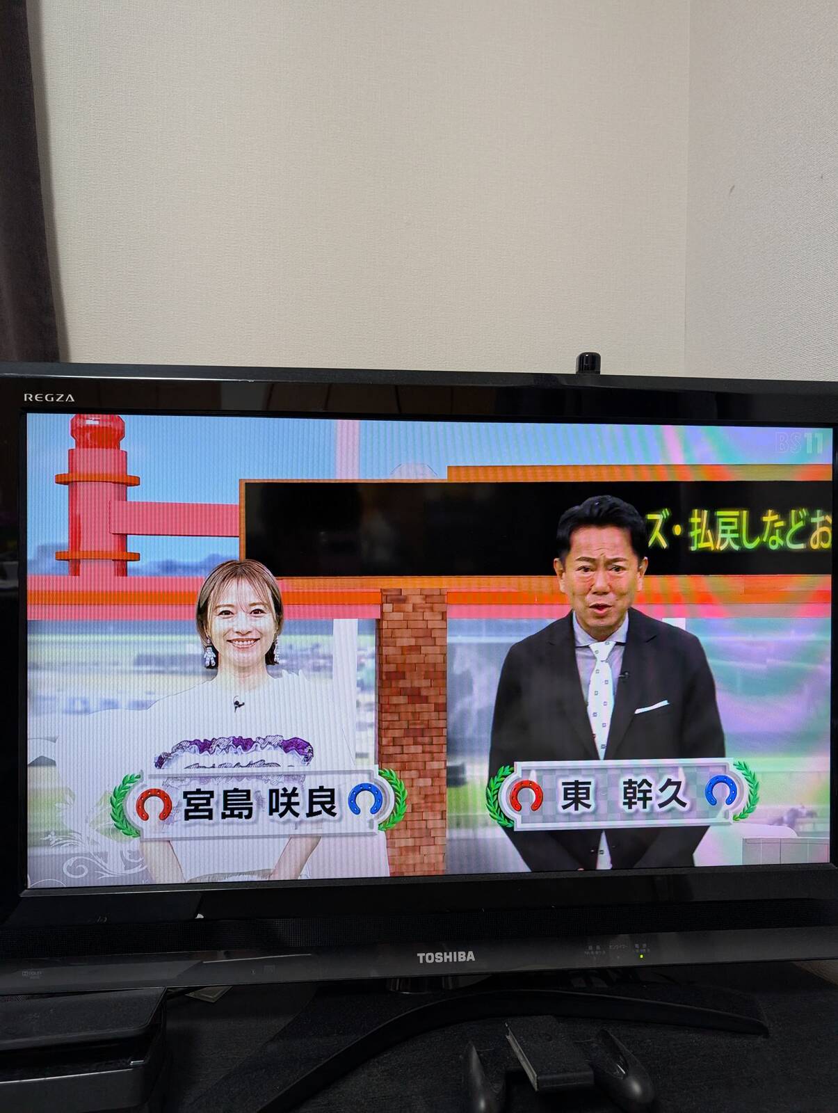 イレブン競馬