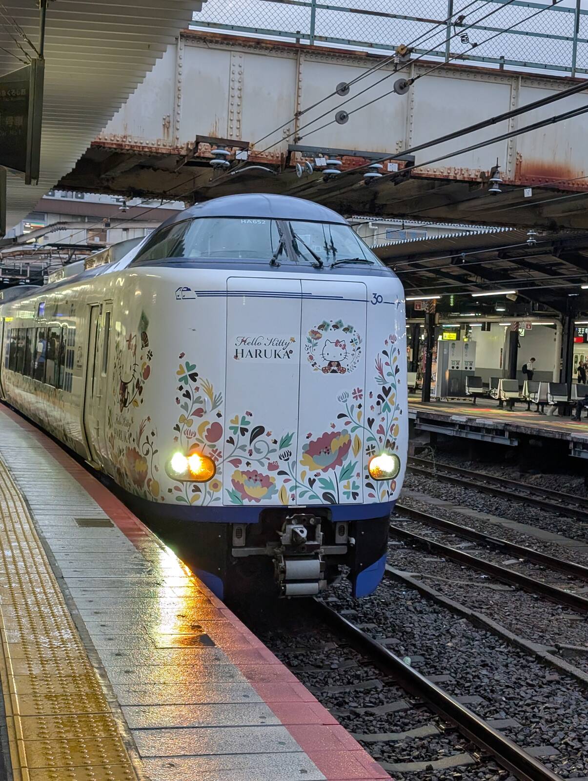 本日の特急はるか