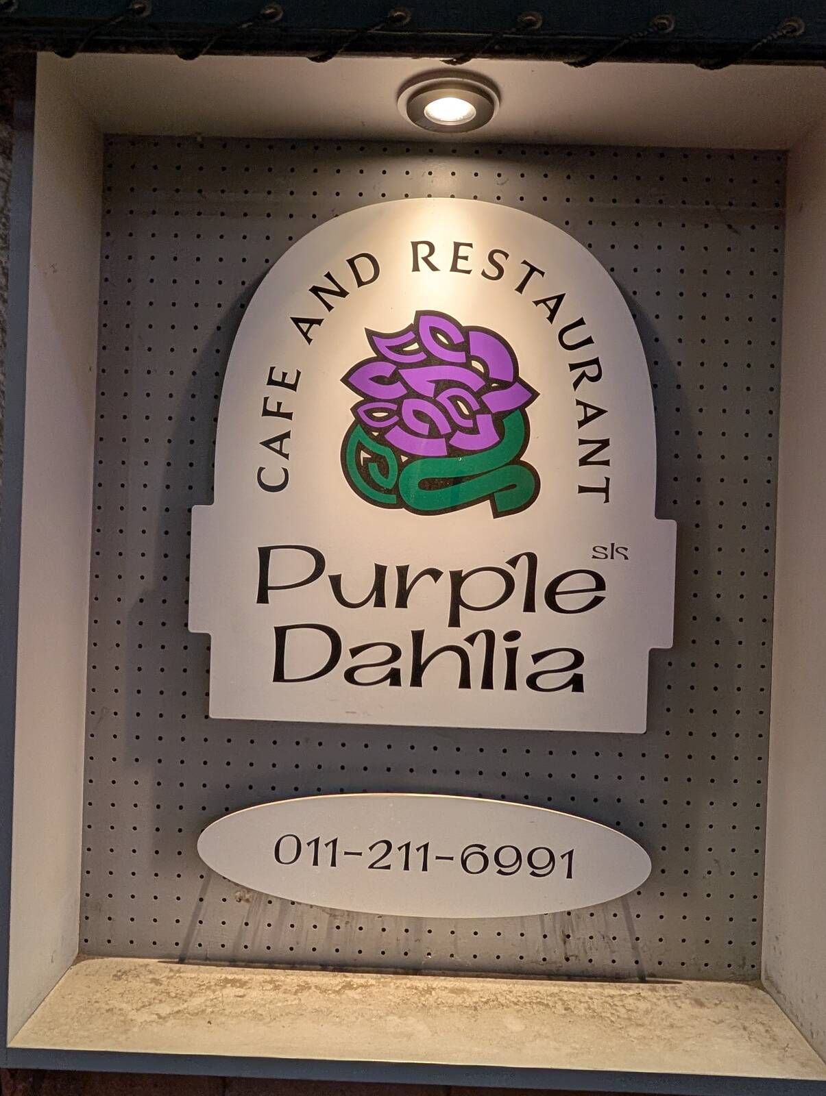 Purble Dahlia