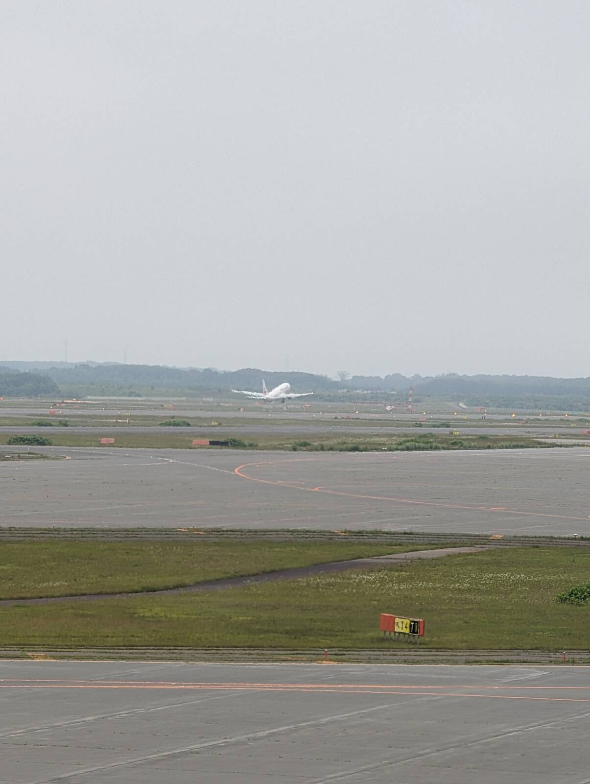 飛行機観察