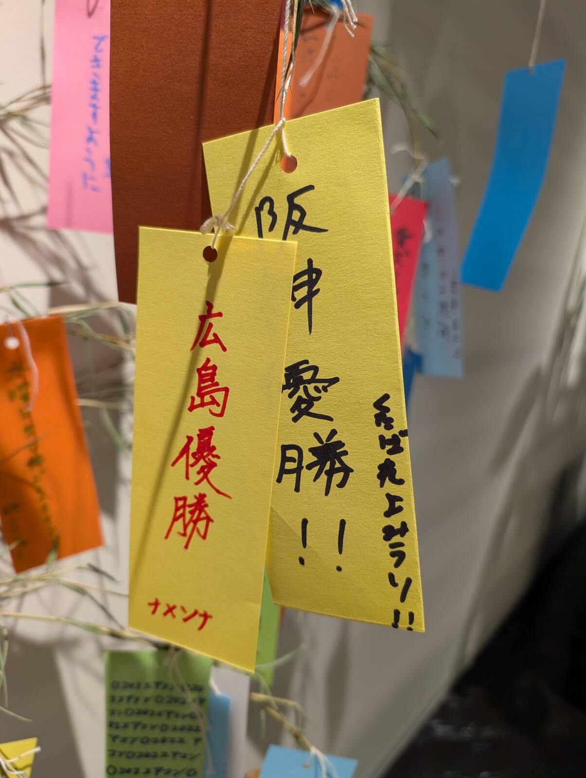 七夕の短冊の内容
