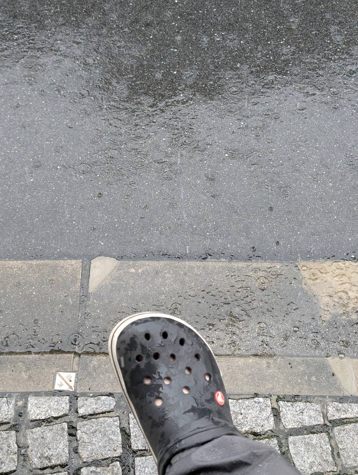 本日のお天気