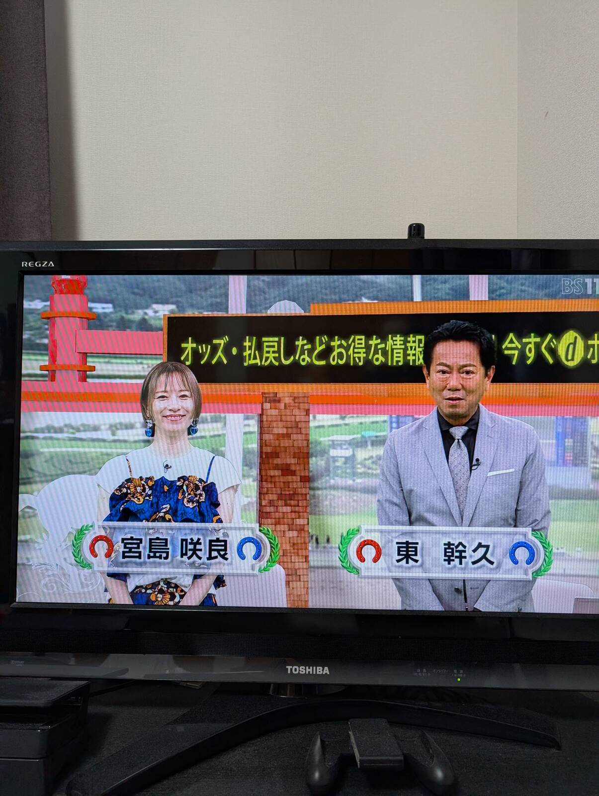 本日のイレブン競馬