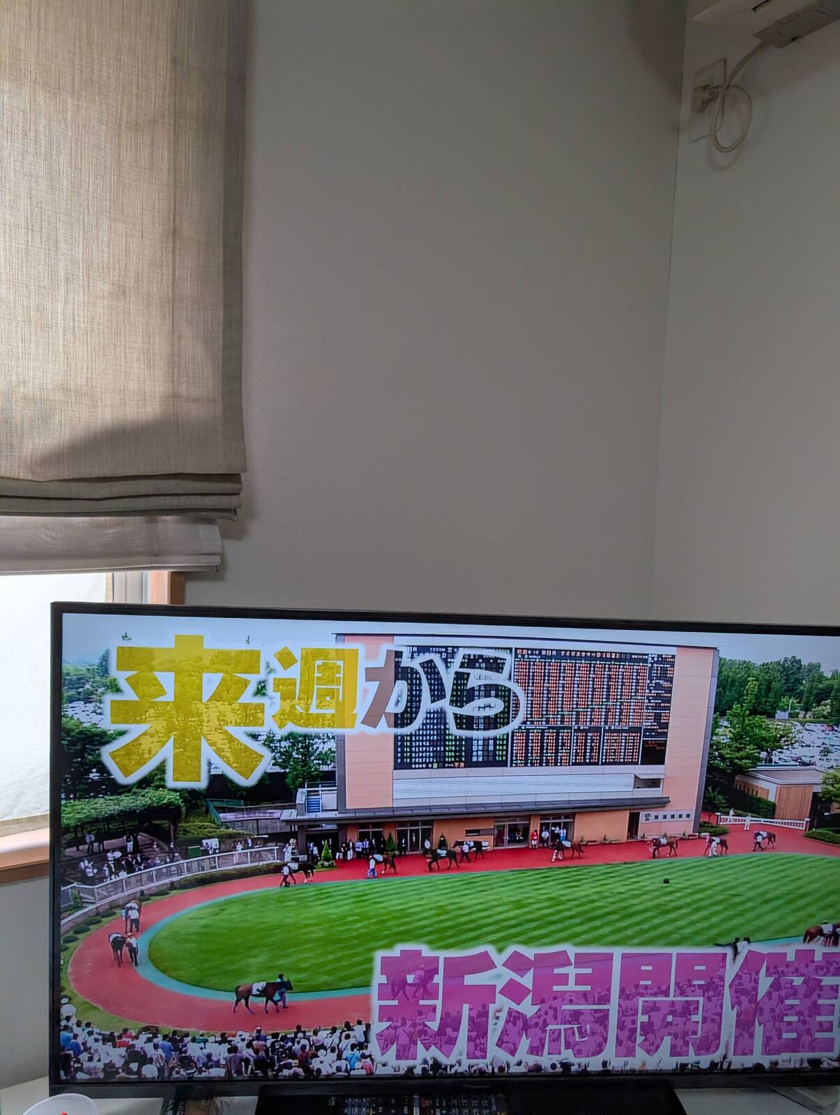 来週から新潟開催