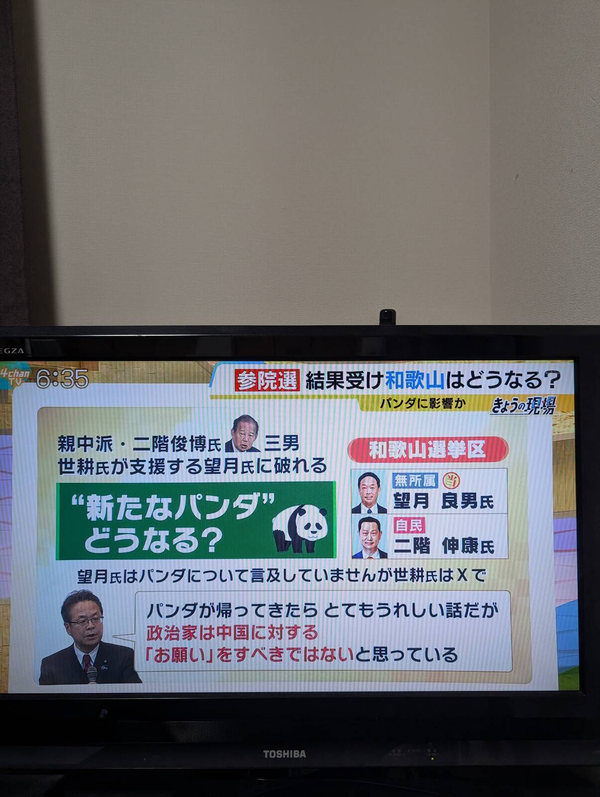 パンダ論争