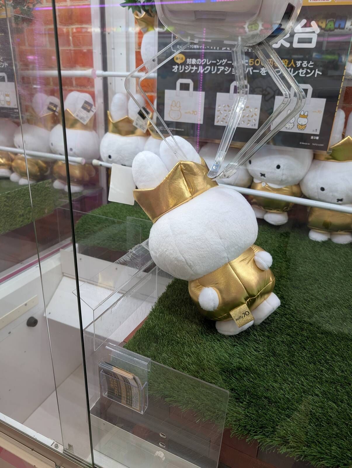 本日のクレーンゲーム