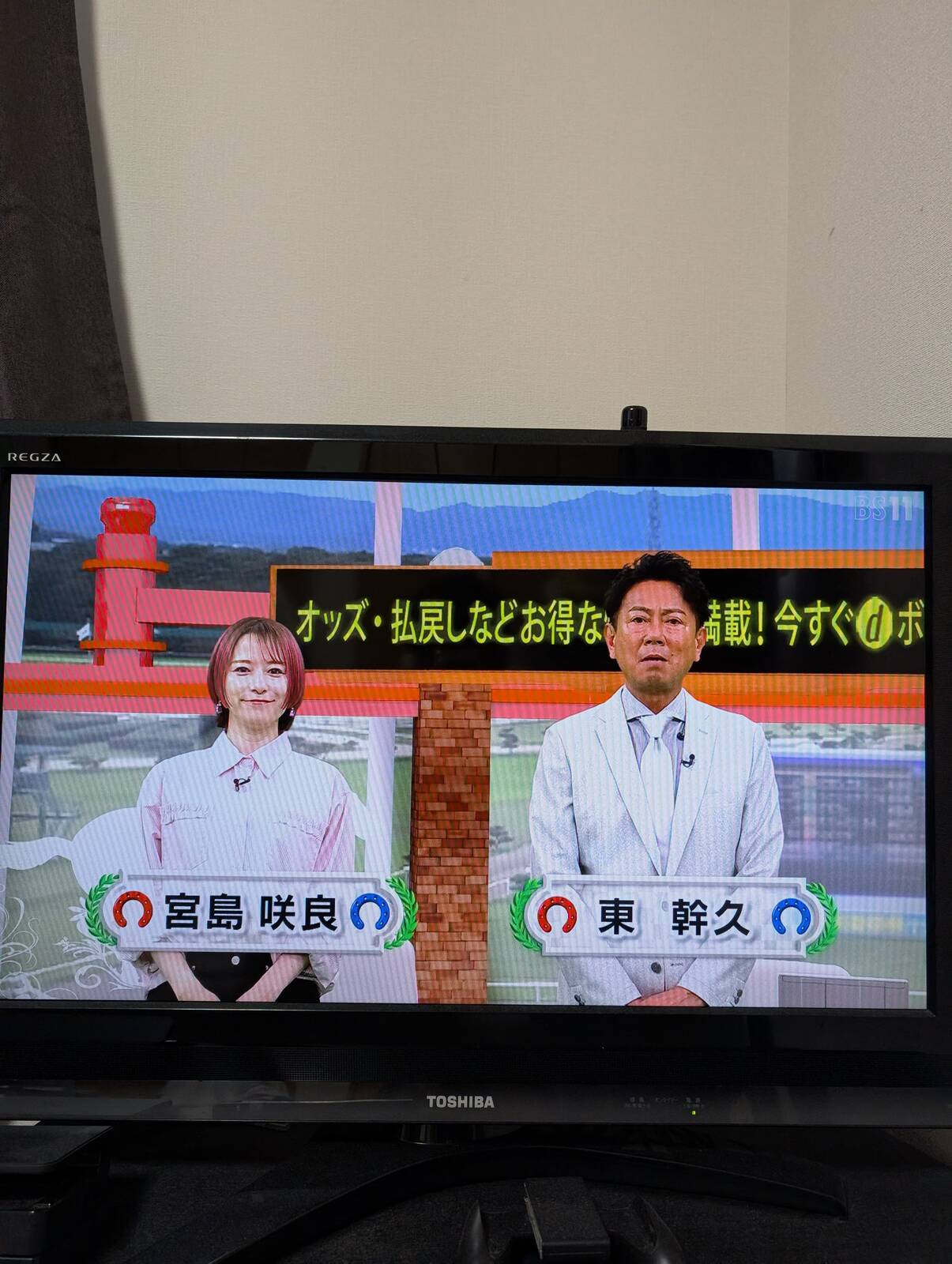 本日のイレブン競馬