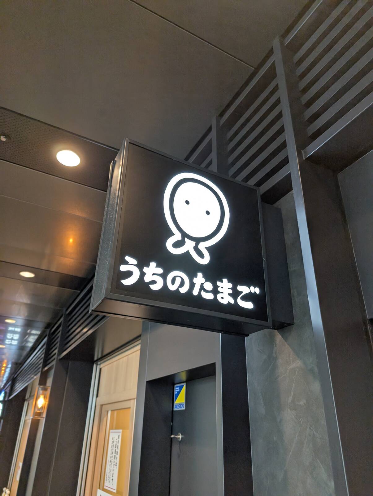 本日の朝食兼昼食会場