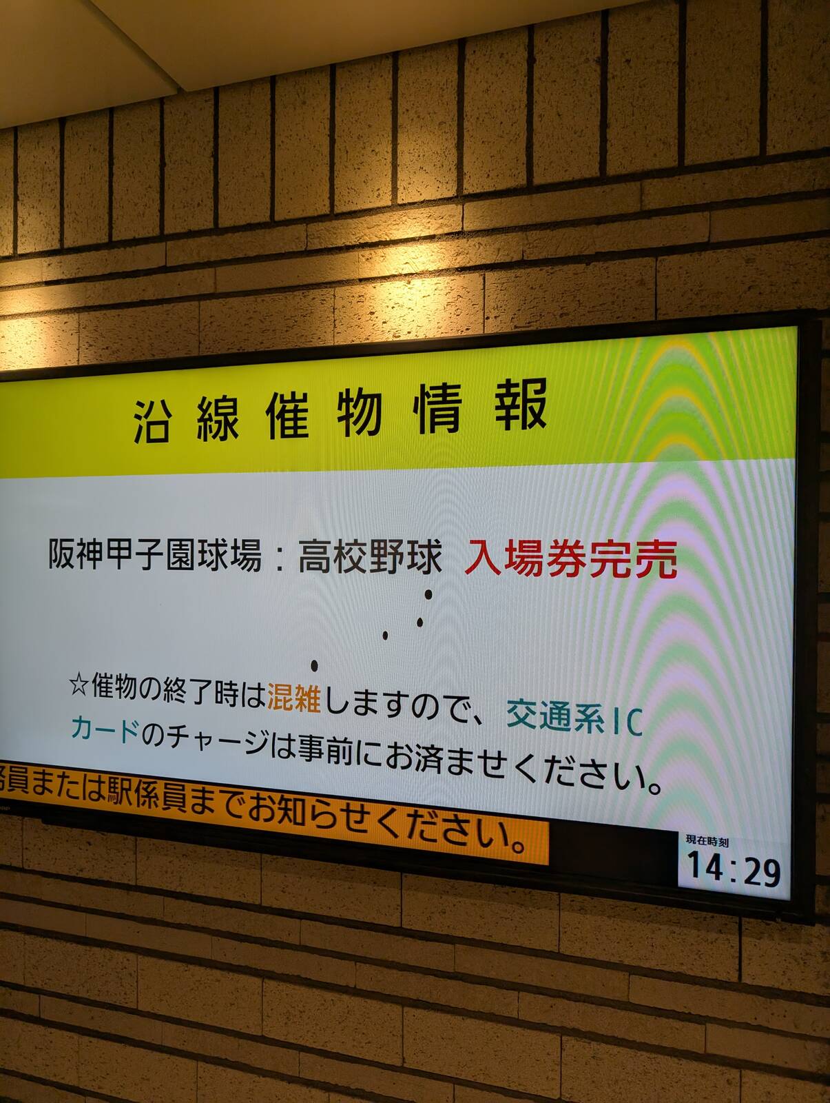 沿線催物情報