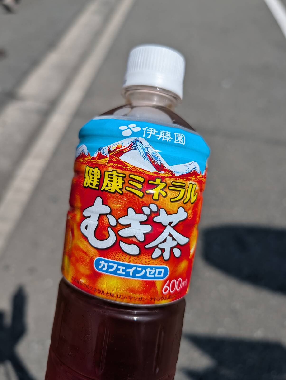 本日の水分補給