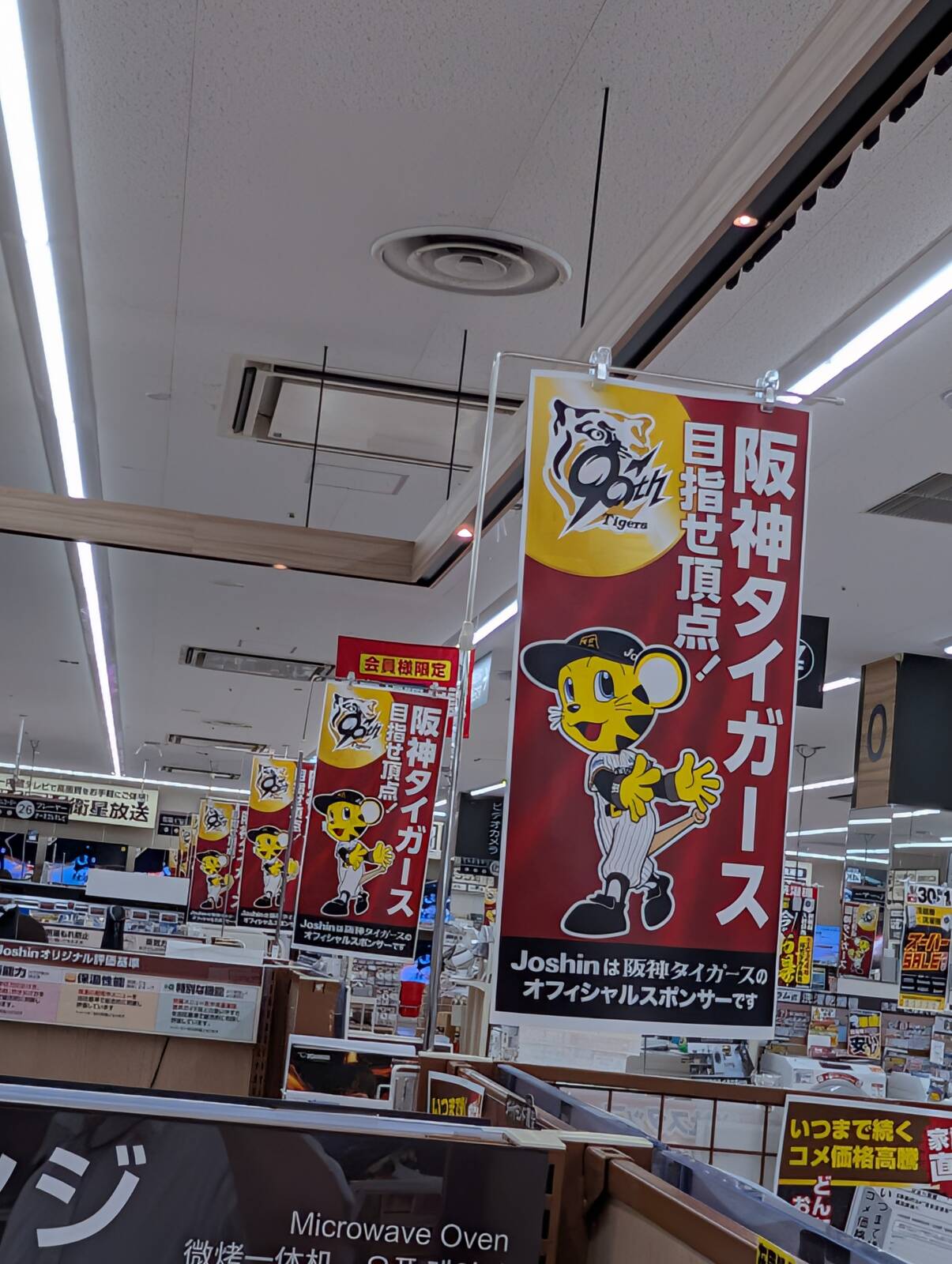 目指せ頂点